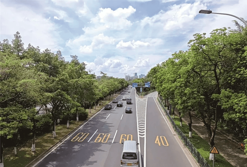 地番禺房车旅行仪式感拉满新葡京娱乐综艺同款生活落