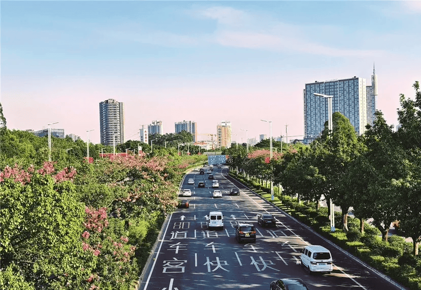 地番禺房车旅行仪式感拉满新葡京娱乐综艺同款生活落(图3)