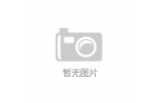 rracamper推出全新福特TECAM
